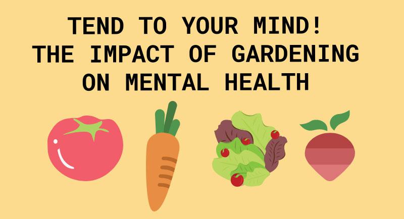 Healthy gardens factsheet image