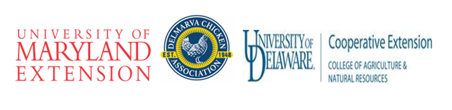 UME DCA and U of D Logos