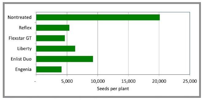 Figure 2. Seeds per plant for Palmer amaranth (over 16 inches at time of application) surviving single herbicide application. Source: Delaware Soybean Board project in 2018 and 2019.
