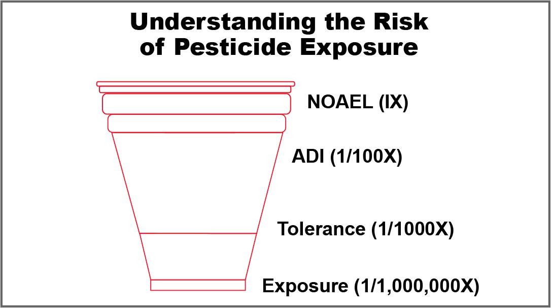 Figure 4. Risk cup. The level of risk increases as the cup is filled and pesticide exposure increases. Total pesticide levels must be lower than the amount known to cause harm (NOAEL). Safety factors are incorporated to establish the acceptable daily intake of a pesticide (ADI), and tolerances are established to ensure that little to no pesticide residue remains on raw or processed foods, significantly lowering the actual amount of pesticide to which a person is exposed.