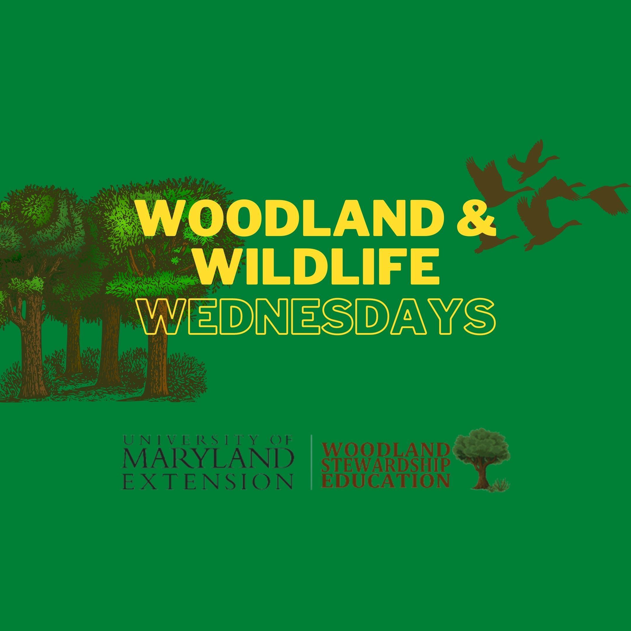Woodland & Wildlife Wednesdays webinars logo 2022