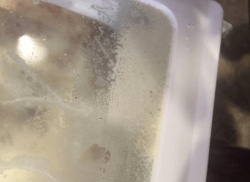 Bacteria living on a refrigerator shelf before being cleaned.