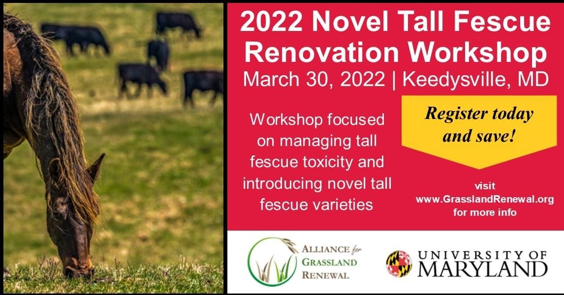 2022 Novel Tall Fescue Renovation Workshop Advertisement