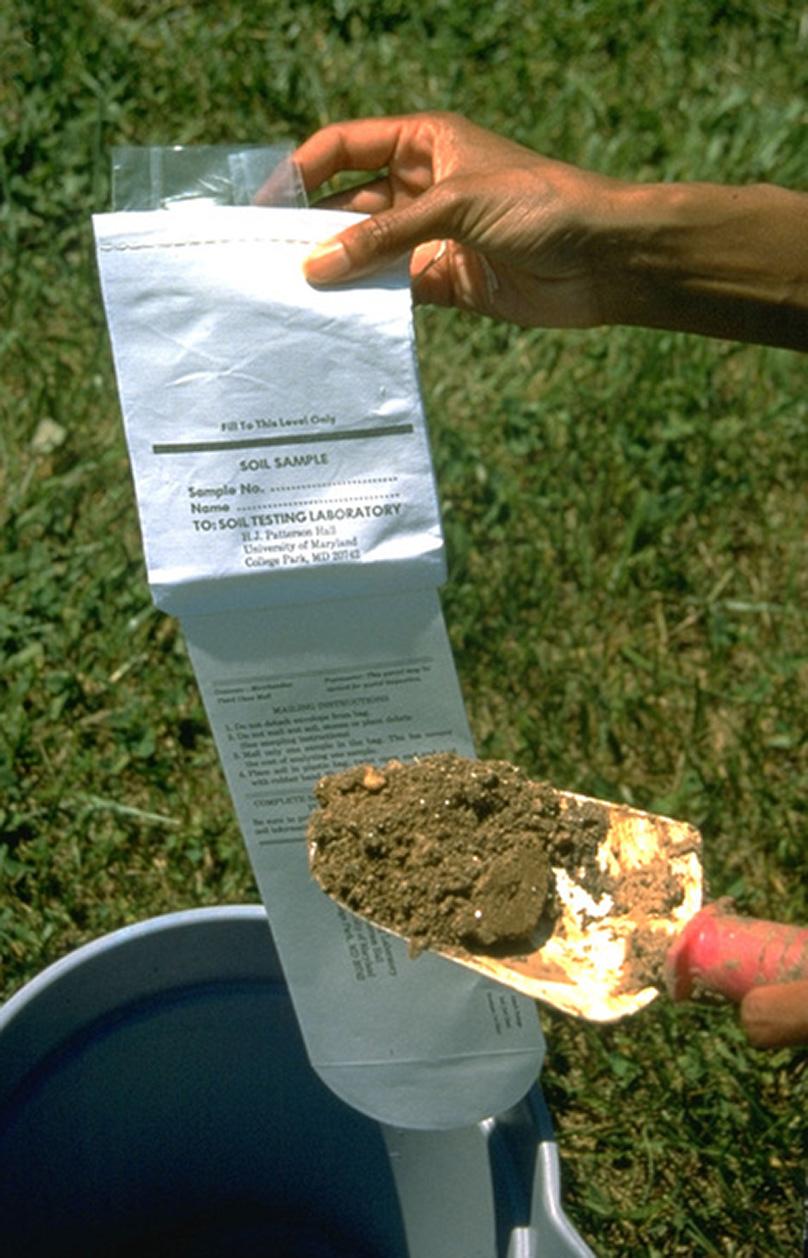 Soil sampling for analysis.  Photo: Edwin Remsberg