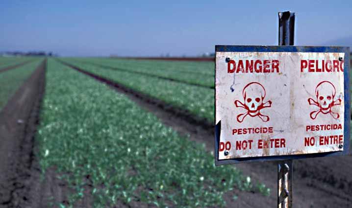 Field with growing crops with sign - "Danger, Pesticide, Do Not Enter", image of skull and crossbones.  Photo: Edwin Remsberg