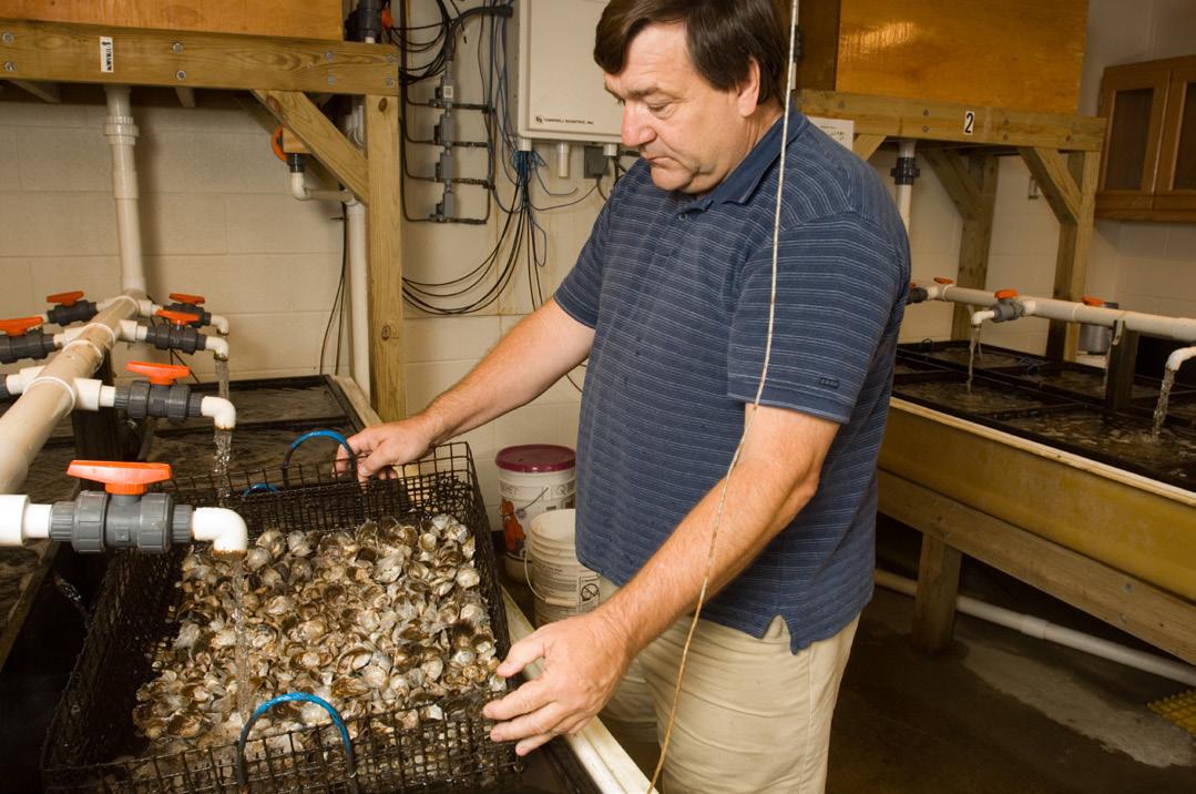 Aquaculture, Photo: University of Maryland