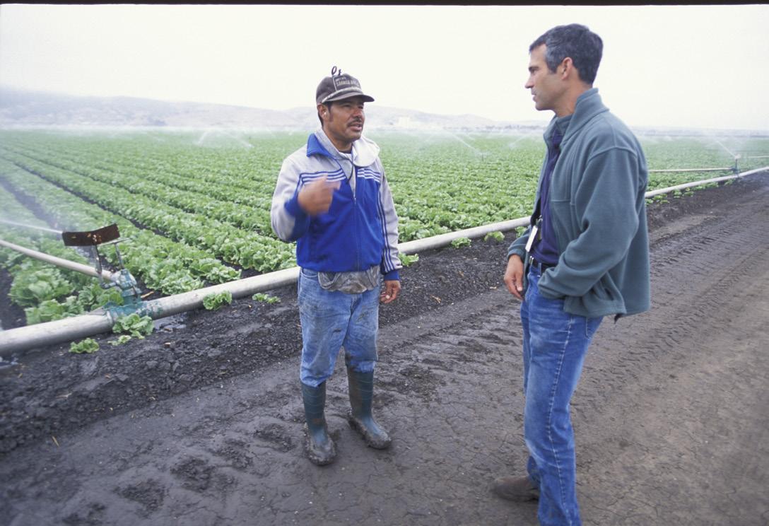 Two men standing and talking next to a field of crops