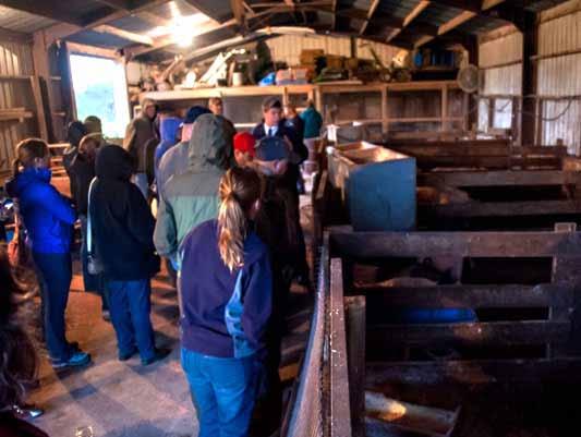 Educational farm tour in barn