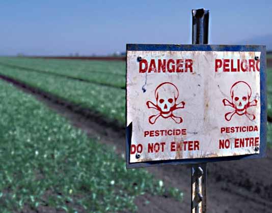 A danger sign, "DANGER-PESTICIDE, DO NOT ENTER posted at the edge of a field of crops. 