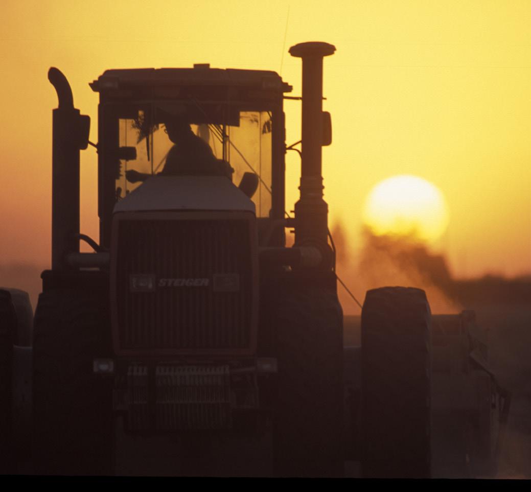 Tractor in sunset.