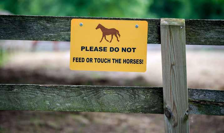 Sign " Please Do Not Feed Or Touch The Horses!" nailed on a fence. Photo: MDA, Edwin Remsberg