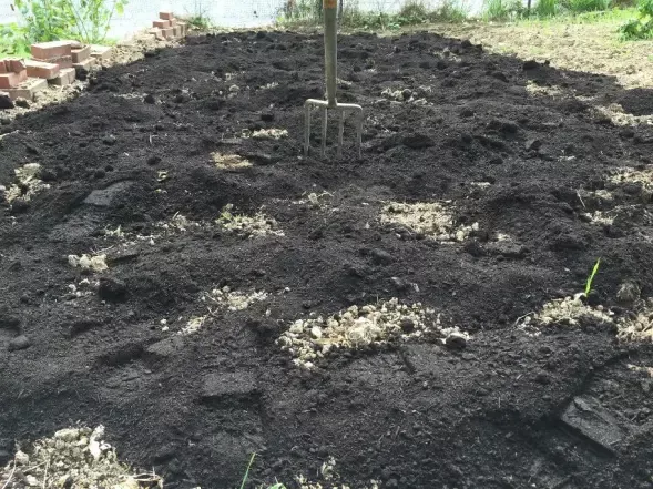 compost applied to a garden