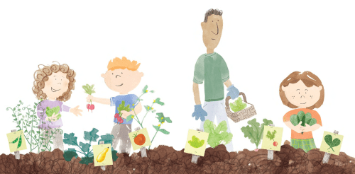 From Sylvia's Spinach book, Sylvia, her teacher and her friends are harvesting the vegetables in the garden.