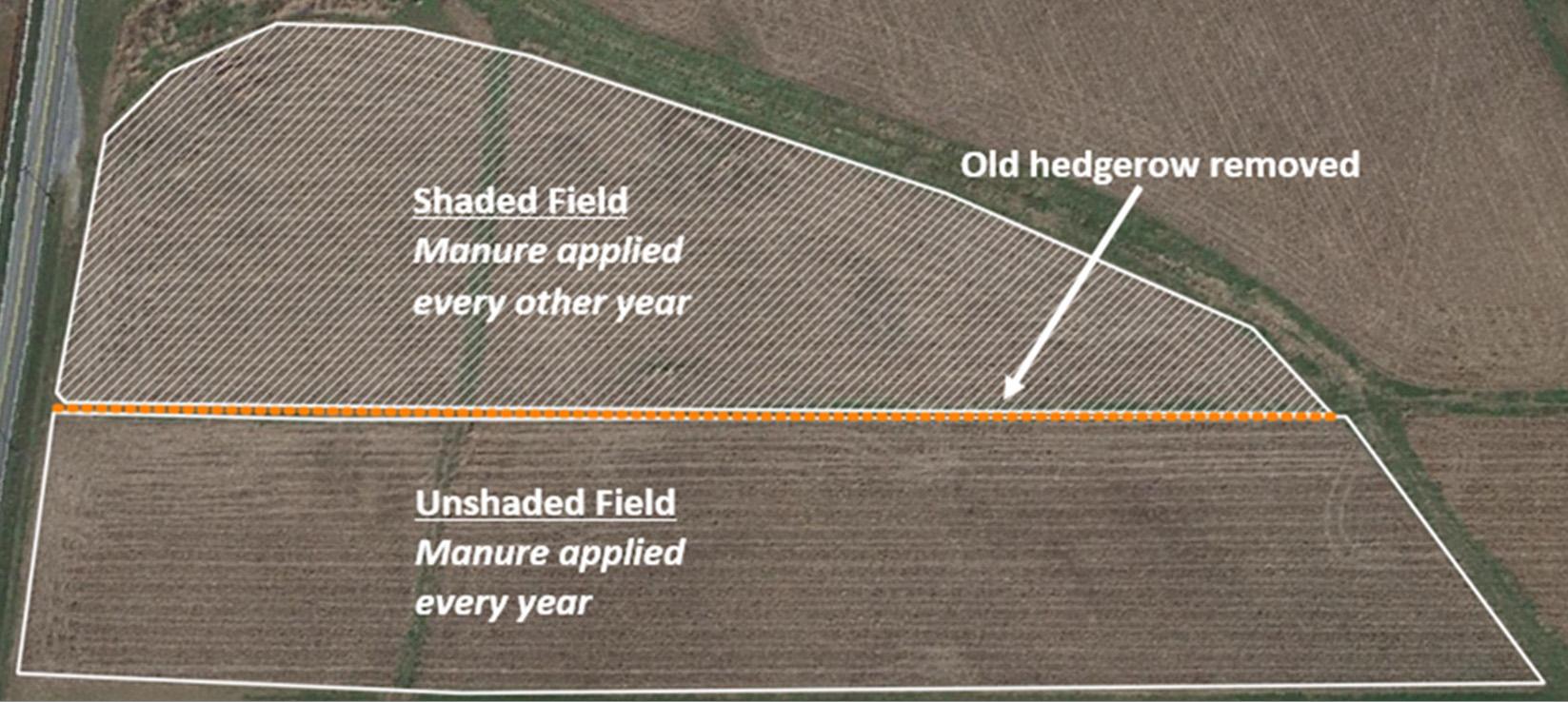 Figure 2: An example of two adjoining fields with different manure application histories. Although soils in both fields are similar, they should not be sampled as one management unit because of different manure application histories (every year vs. every other year). For example, the unshaded field (bottom field) likely has higher fertility because of yearly manure applications than the shaded field (top field) that receives manure every other year.