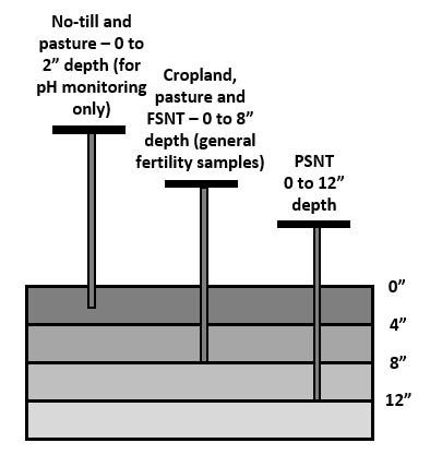 Figure 5: For pH determination in no-till and pasture fields, take samples from 0 to 2 inches depth. For soil fertility samples in cropland and pasture fields and the FSNT, take samples from 0 to 8 inches. For PSNT, take samples from 0 to 12 inches.