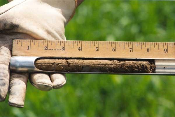 Figure 6: A soil probe showing a soil core collected from 0 to 8 inch depth. Photo Credit: Patricia Hoopes, UME