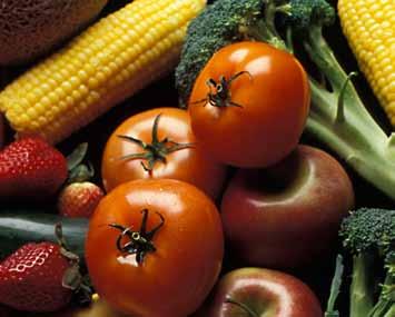 Tomatoes, corn, strawberries, cucumber, and brocolli