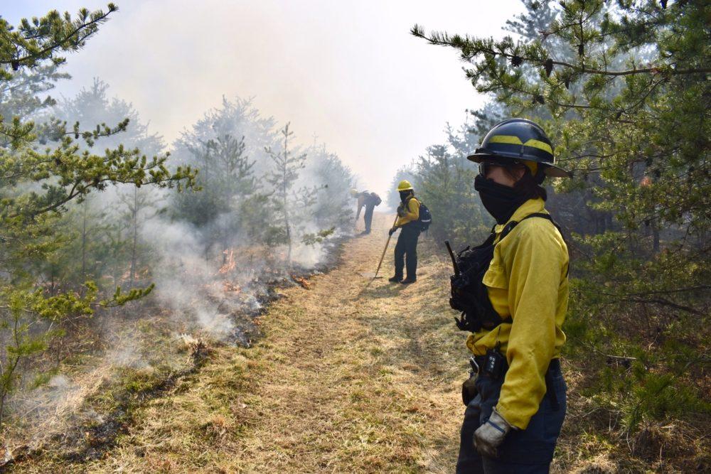 Nature Conservancy staff administer a controlled burn at their Sideling Hill Creek Preserve in western Maryland in 2021.  Photo by The Nature  Conservancy.