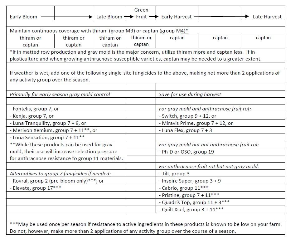 A table that summarizes the information presented in this article with details on specific recommended fungicides, considerations for making the best use of them while minimizing resistance development, and their activity groups.  