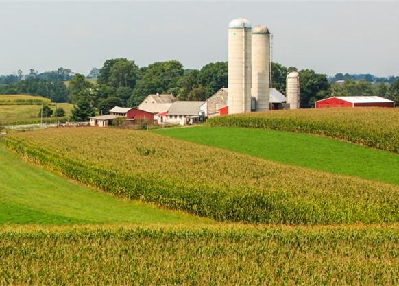 A farm with several buildings and  three silos. Image: Maryland Farm Bureau