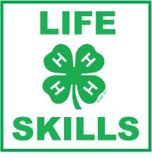 4-H Life Skills Icon