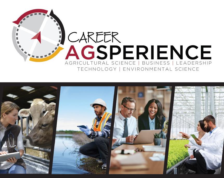 Career AGsperience cover page