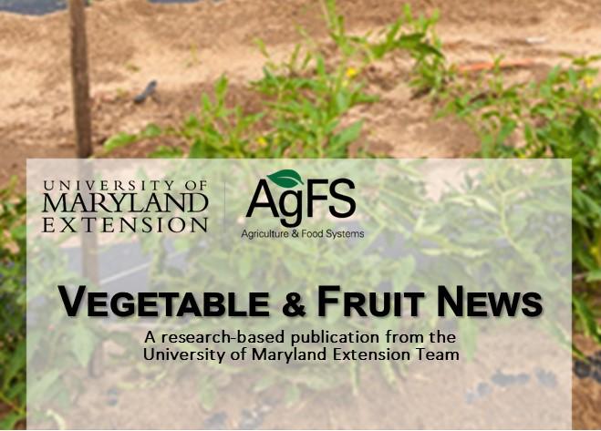 Vegetable and Fruit News June 2022 header
