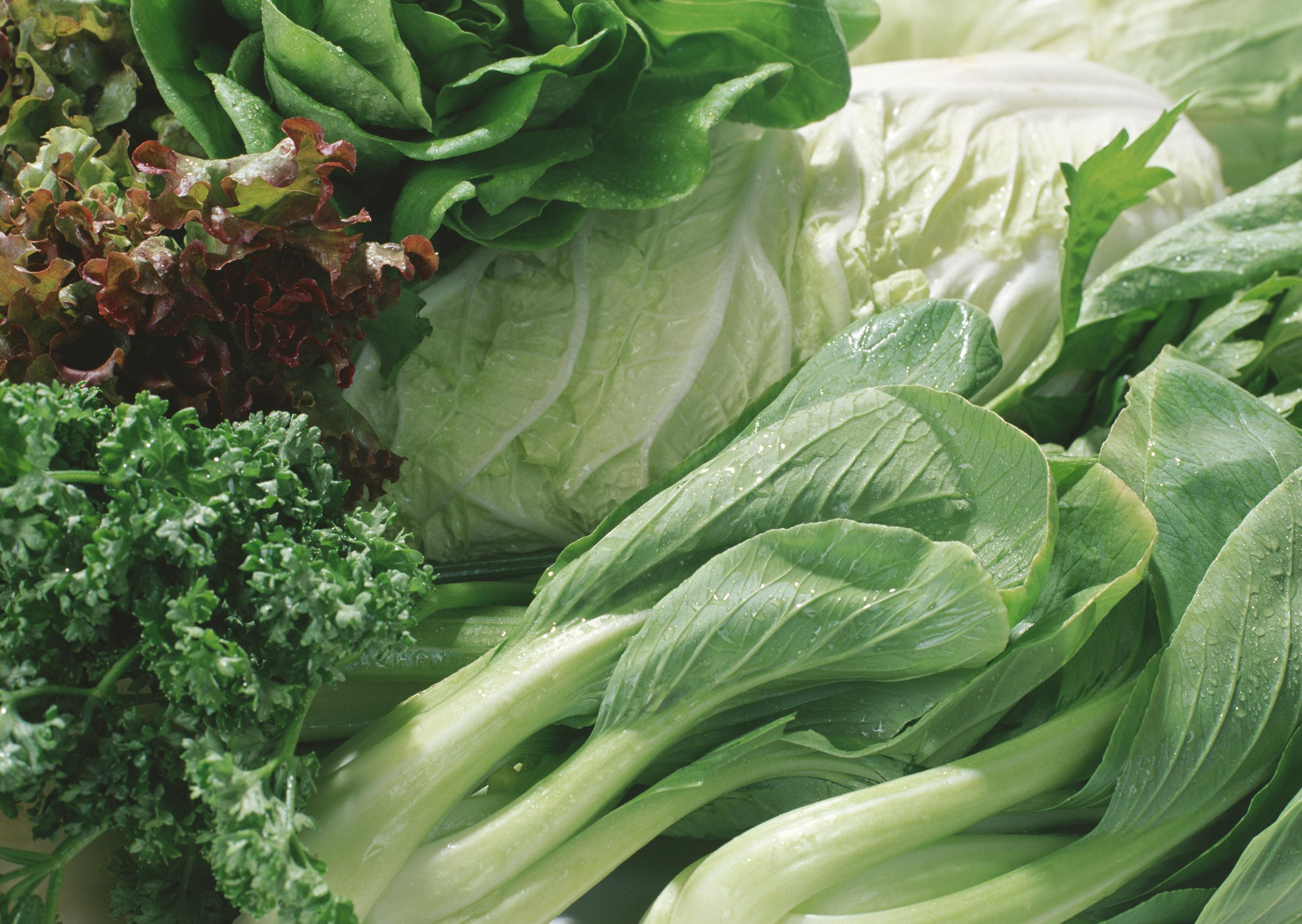 A variety of green leafy vegetables.