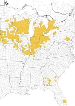Figure 1. Map of tar spot in the United States after the 2021 growing season. Map generated from: https://corn.ipmpipe.org/tarspot/.