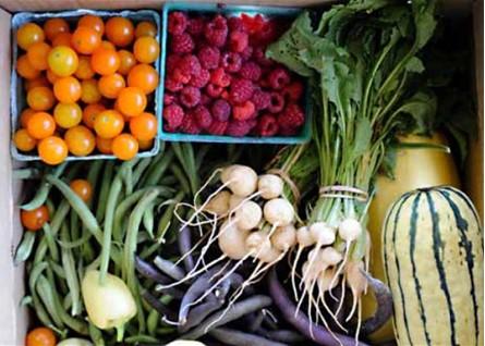 CSA box filled with fruits and vegetables