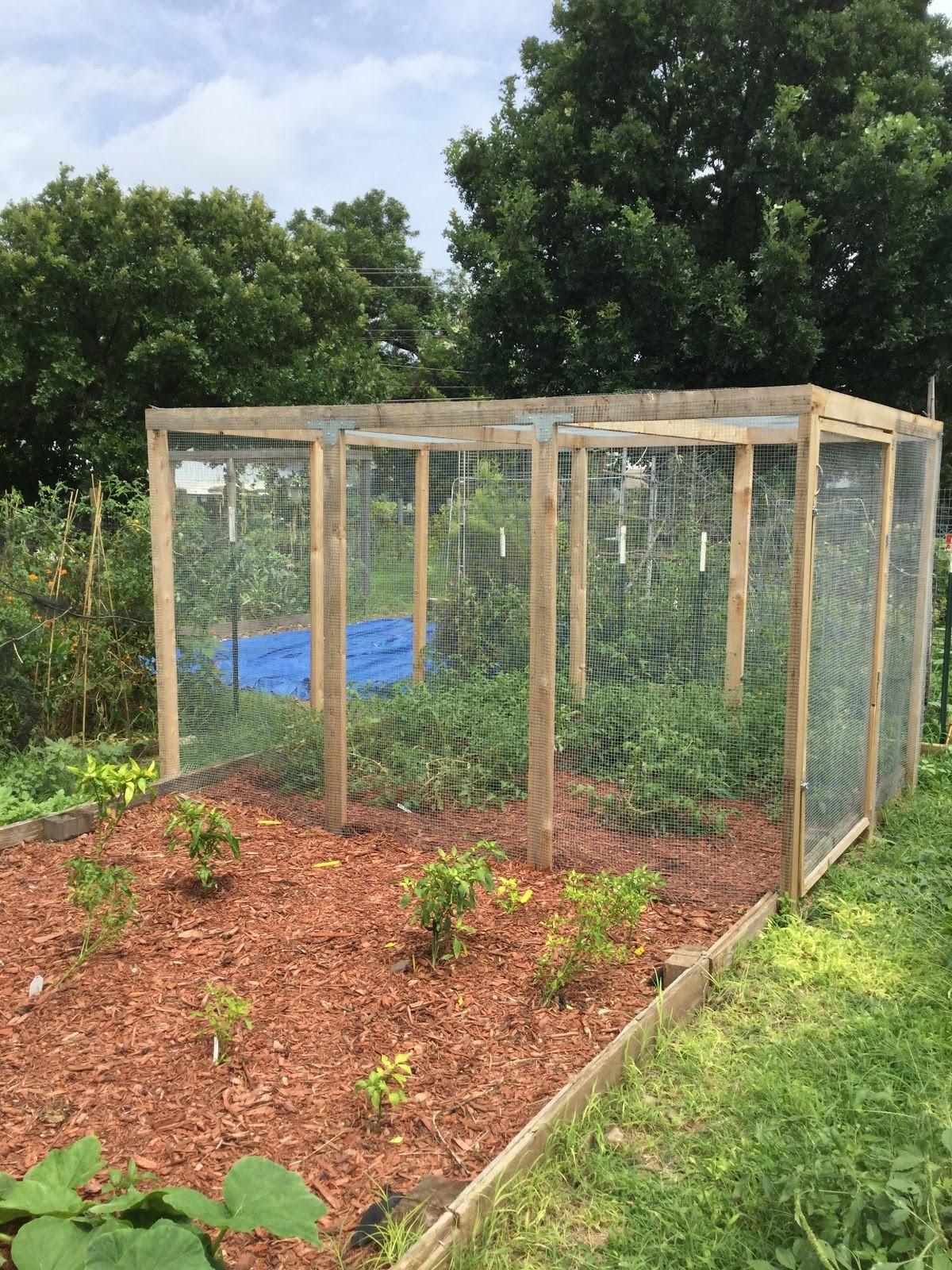 Fences and enclosures like this one keep deer and other wildlife out of the garden.