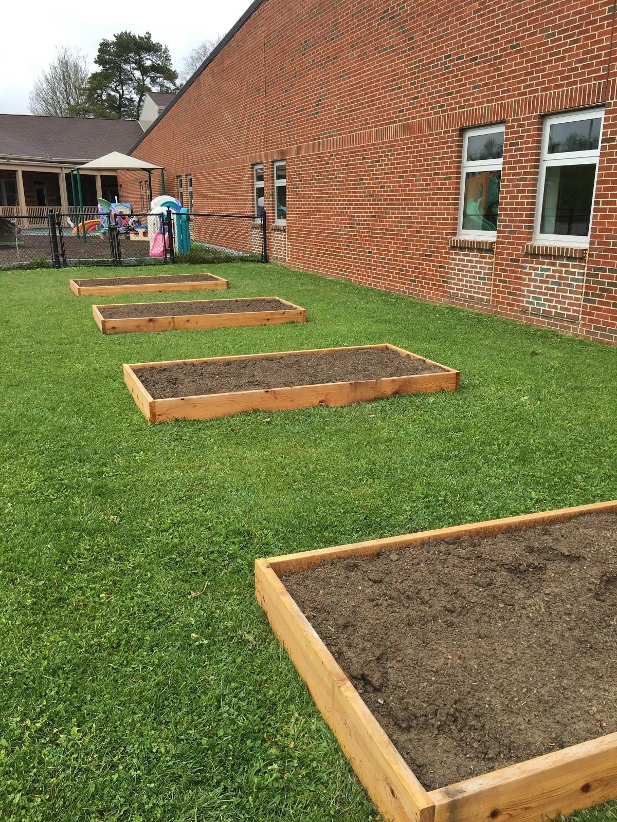 Working with raised beds can help protect students from elevated soil lead levels.