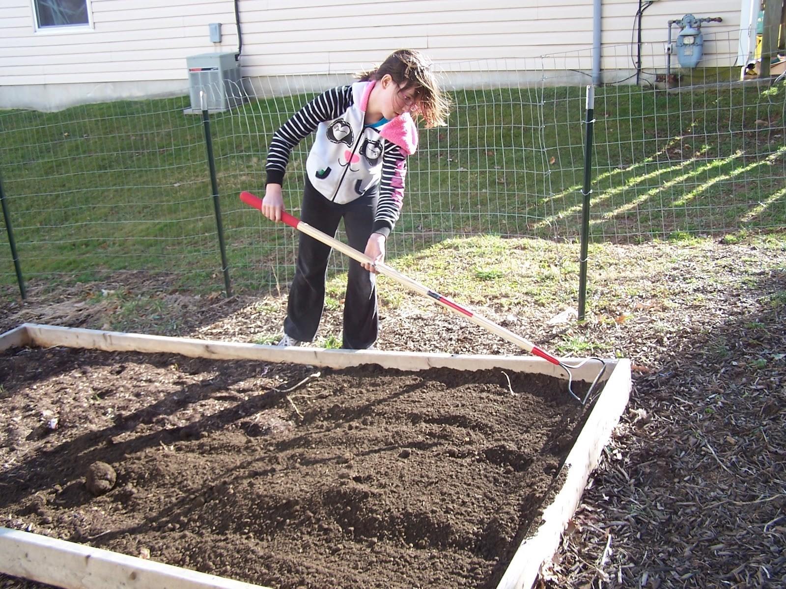 A student spreads a soilless potting mix in a raised bed.