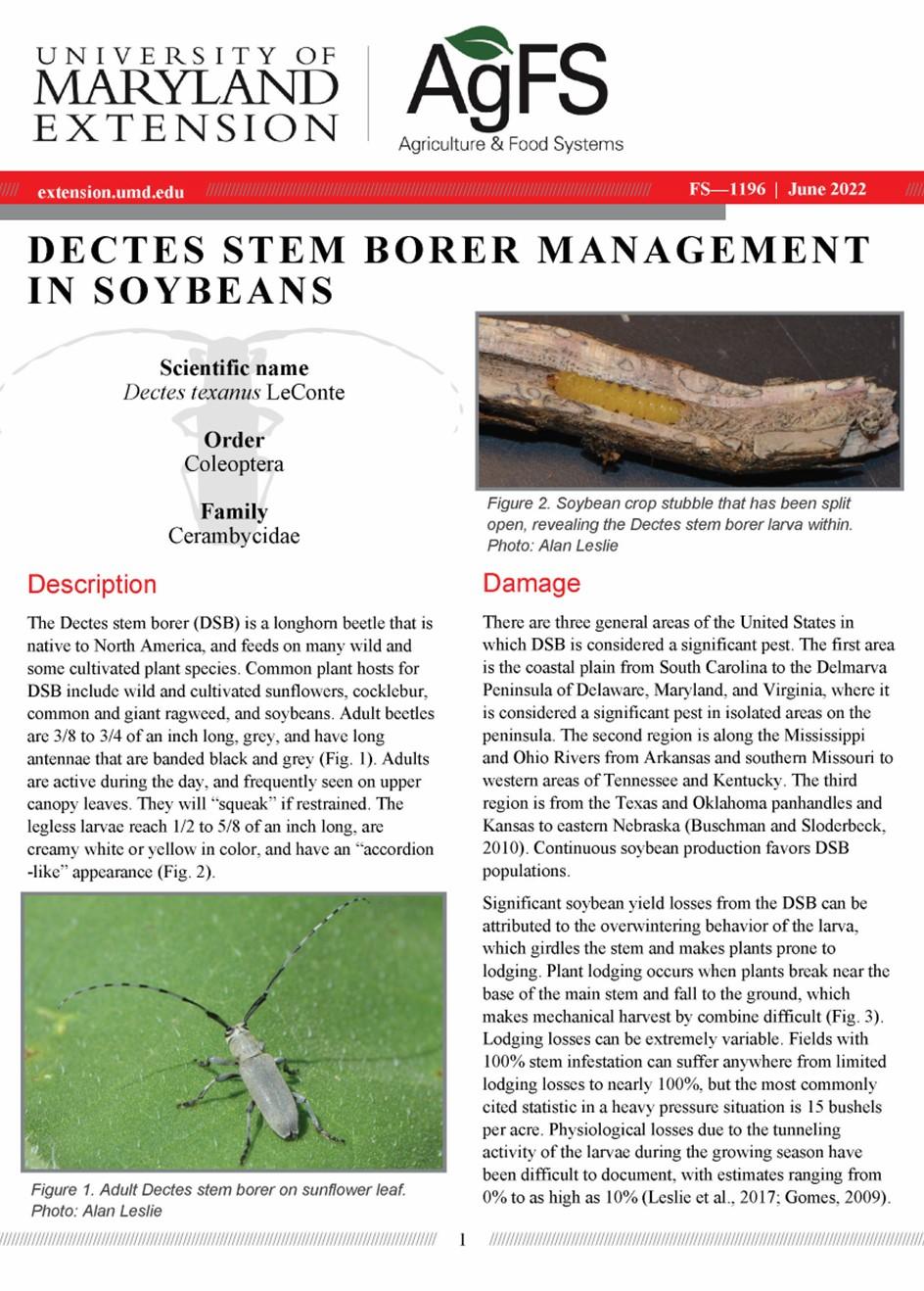 Dectes Stem Borer Management Fact Sheet FS-1196 cover page