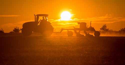 Farmer working during sunset