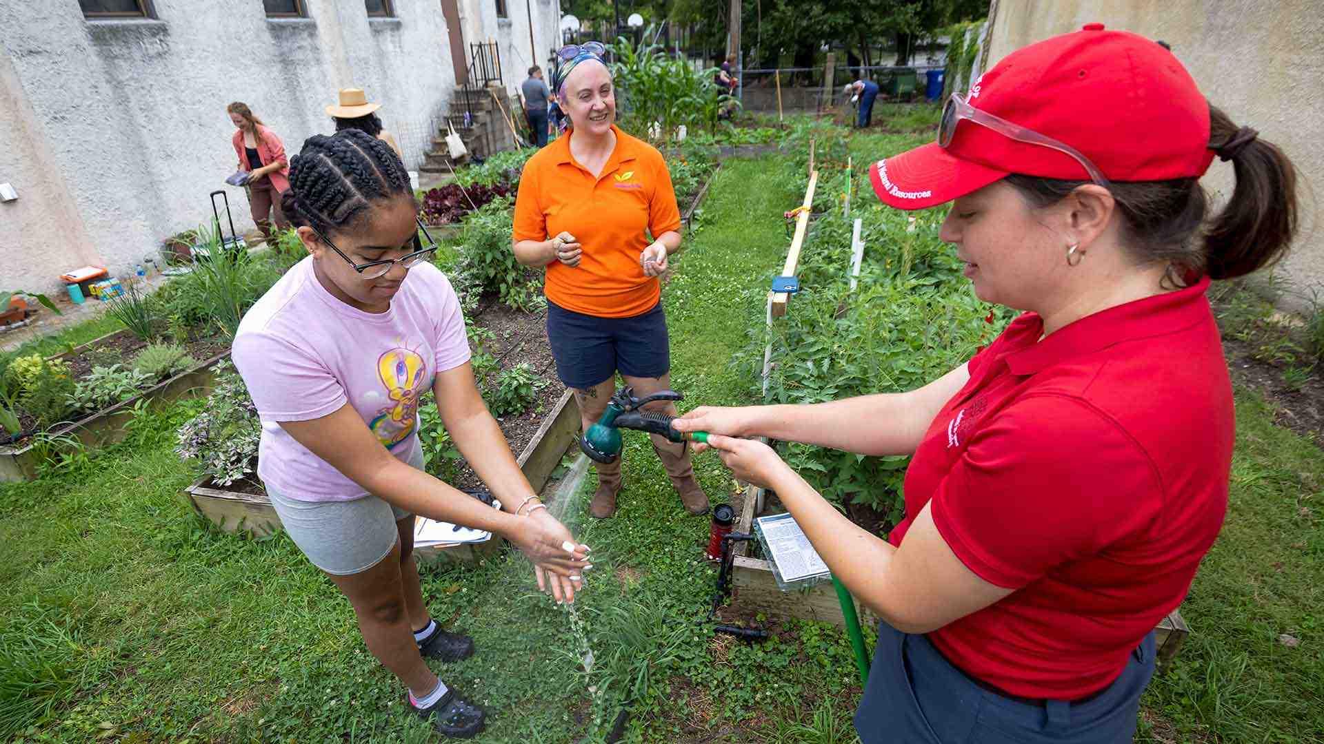 From A To Zucchini | University Of Maryland Extension