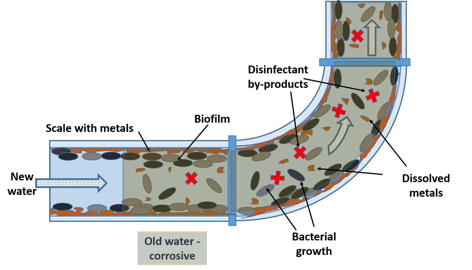 Pipe diagram showing stagnant water health risks. Image adapted from Wheaton and Proctor 2020 