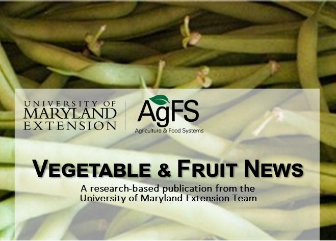 Vegetable & Fruit News July cover 