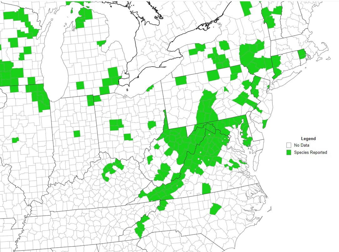 Regional Distribution of Plumeless Thistle. Courtesy EDDMapS.com.