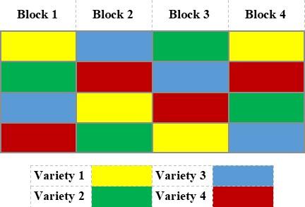 Figure 1. Example field plot design with four varieties replicated four times (blocks) in a randomized complete block plot design. 