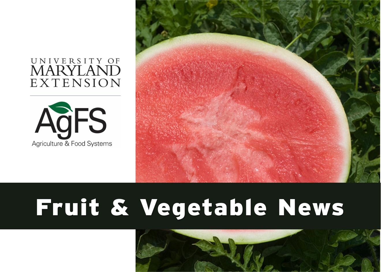 Fruit and Vegetable news header Aug 2022