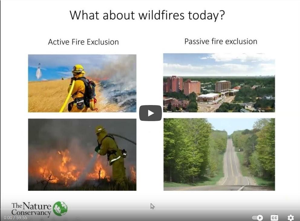 Screenshot of "Fire History & Ecology in Maryland" video