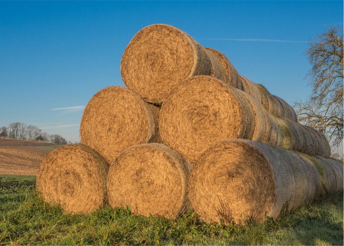 Round hay bales