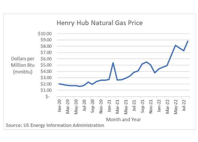 Graph on Natural Gas Price 