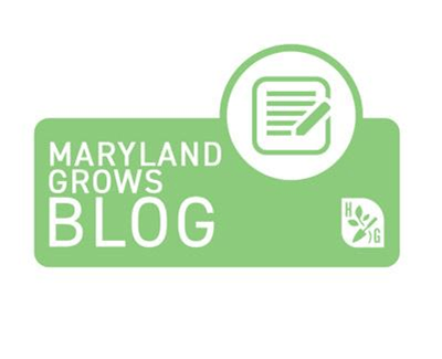 MD Grows Blog logo