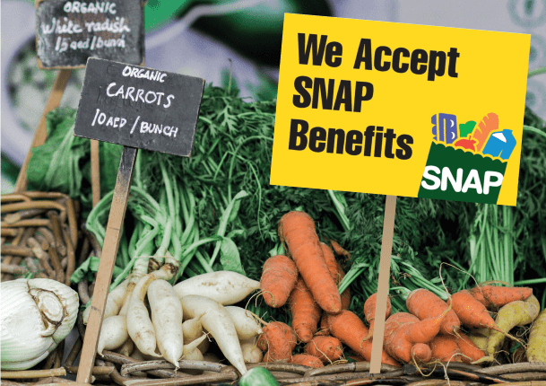 Plan, Shop and Eat Smart handout providing tips on making the most of SNAP dollars when purchasing foods.