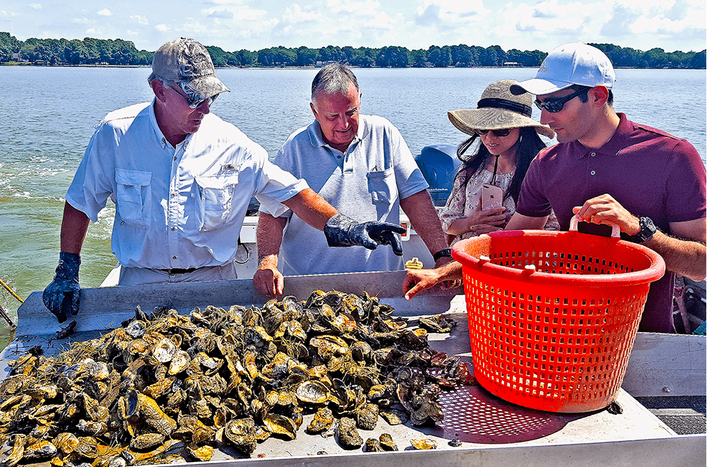 Members of the research team working together in the Chesapeake Bay for oyster imaging and dredging testing. Credit: Yang Tao/University of Maryland
