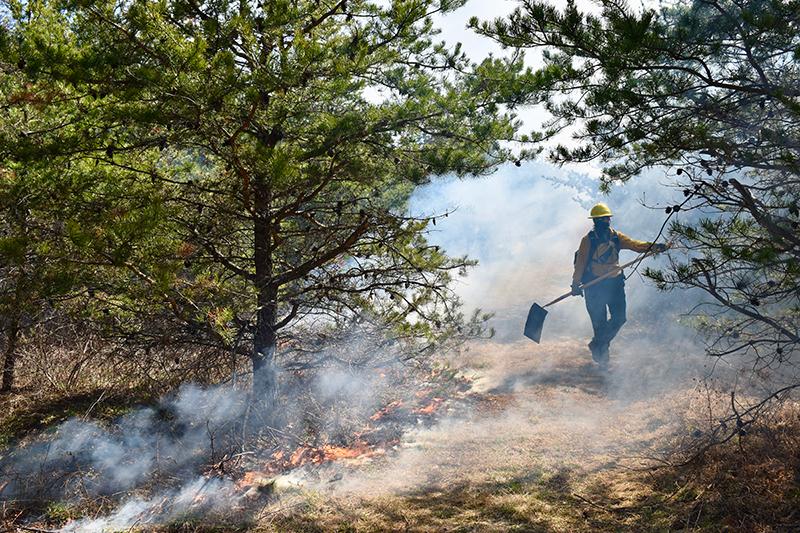 Wildland firefighter during a prescribed burn at Sideling Hill Creek Preserve, Allegany Co., Maryland. Photo © The Nature Conservancy.