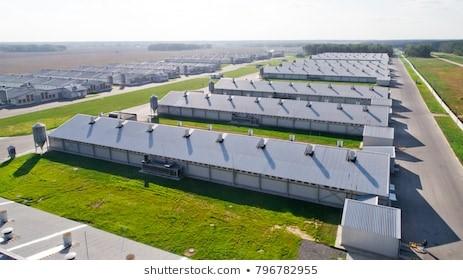 Poultry houses