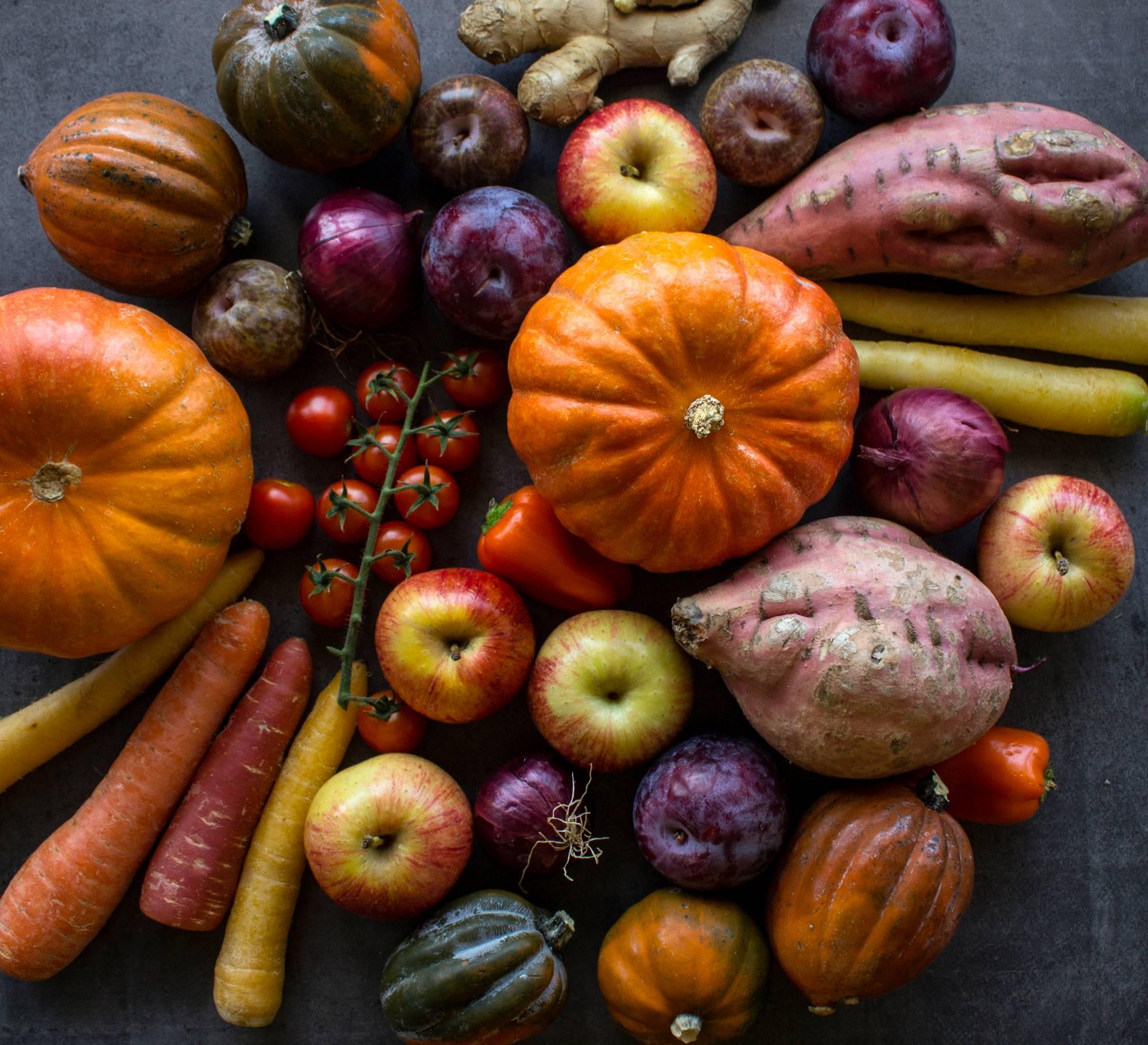A collage of fall fruits and vegetables including carrots, pumpkins, tomatoes, apples, squash, and sweet potatoes.